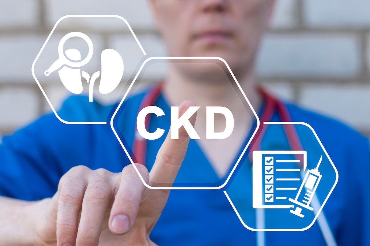 ckd chronic kidney disease concept: © wladimir1804 - stock.adobe.com