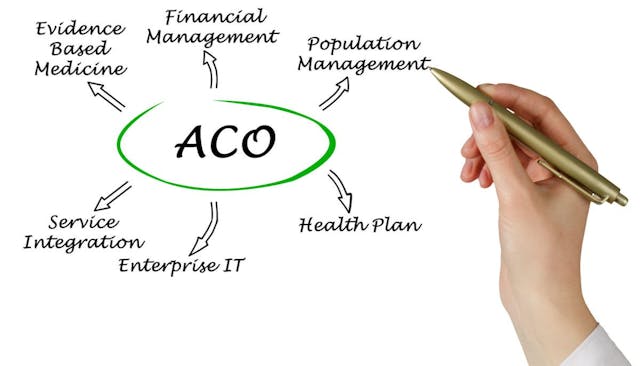 accountable care organizations acos: © Dmitry - stock.adobe.com